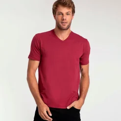 Camisetas>Basico.com Camiseta Algodão Premium Gola V Masculina | Everyday Collection - Tint