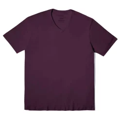 Camisetas>Basico.com Camiseta Algodão Premium Gola V Masculina | Everyday Collection - Beri