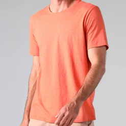 Linho | Camisetas>Basico.com Camiseta Malha Linho Masculina - Marrom Telha