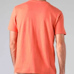 Linho | Camisetas>Basico.com Camiseta Malha Linho Masculina - Marrom Telha